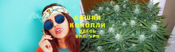 Альфа ПВП Пестово