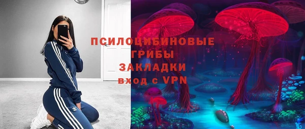 Альфа ПВП Пестово