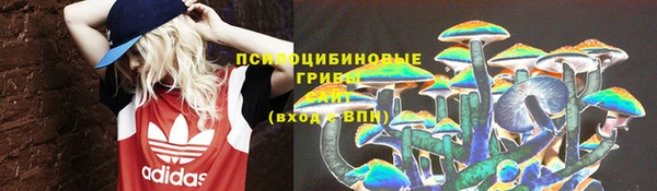 Альфа ПВП Пестово