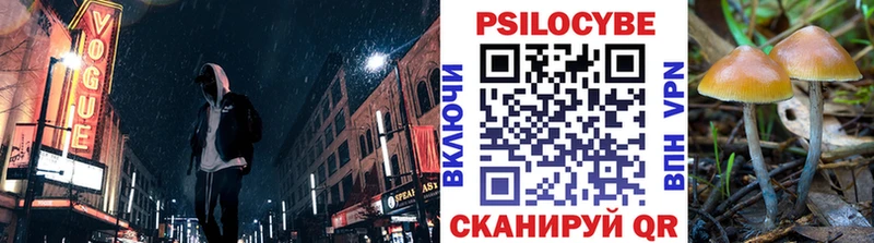 где можно купить   Николаевск-на-Амуре  Галлюциногенные грибы мицелий 
